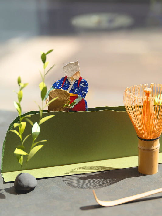 Notre vitrine embellie pour l'Été par Aya Muramatsu