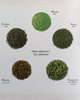Gift Certificate - Introduction to Japanese Teas