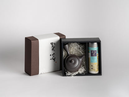 Sencha Asa Kit