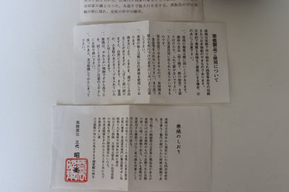 Bol à matcha / Kyoto Shoraku Kuroraku