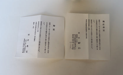 Bol à matcha / Kyoto Tanaka Jiho Iroe Matsushima