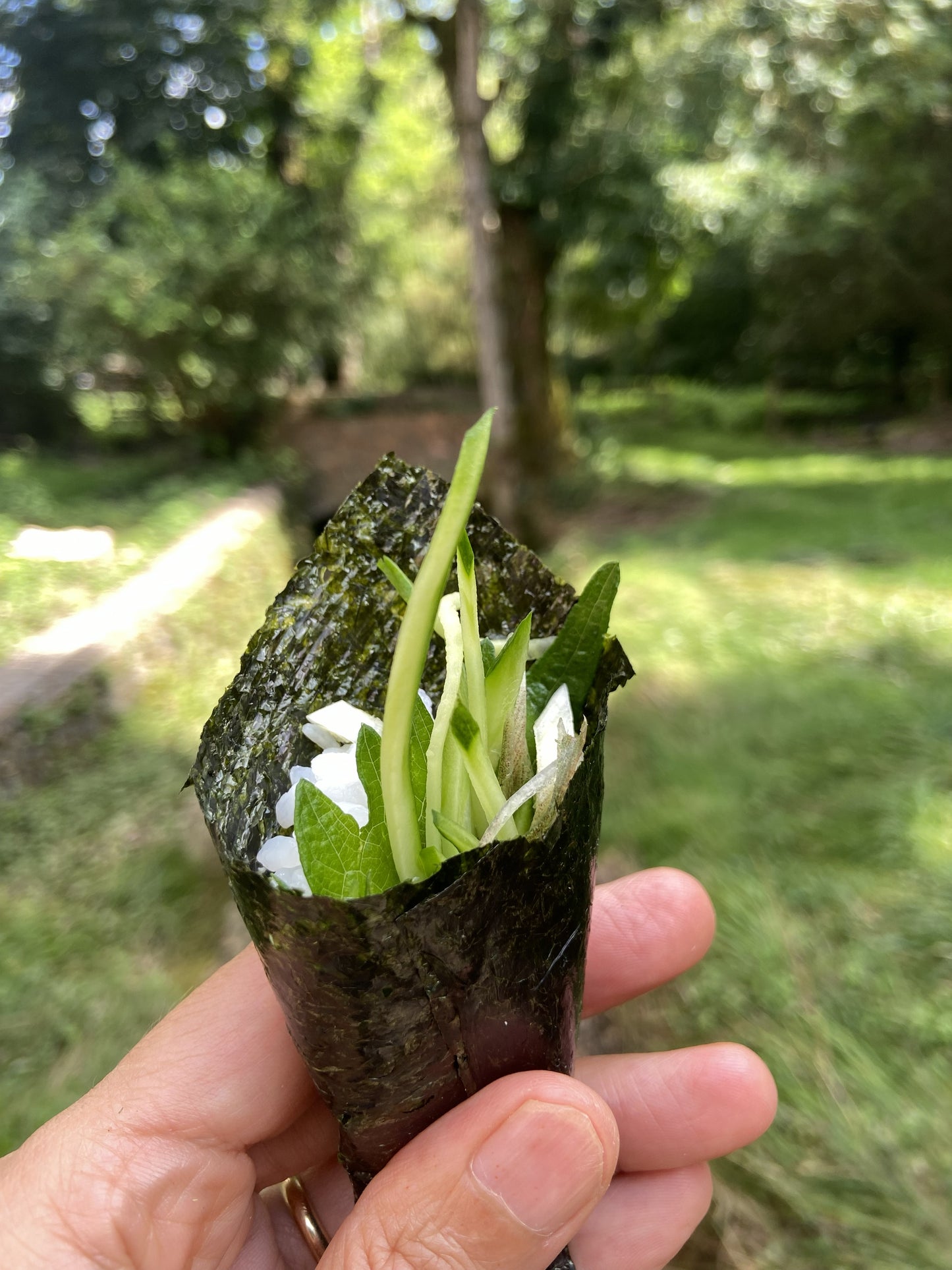 Gift certificate - Nori seaweed workshop/tasting