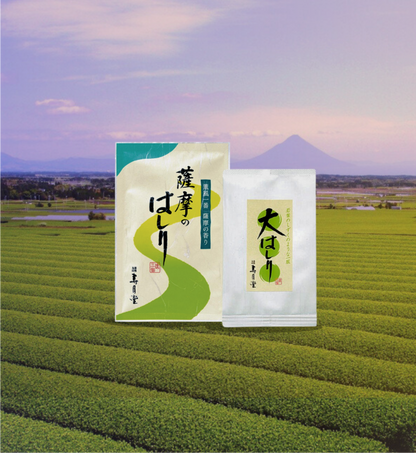 Shincha First Tea Set 2026/ Sencha Ohashiri + Sencha Hashiri